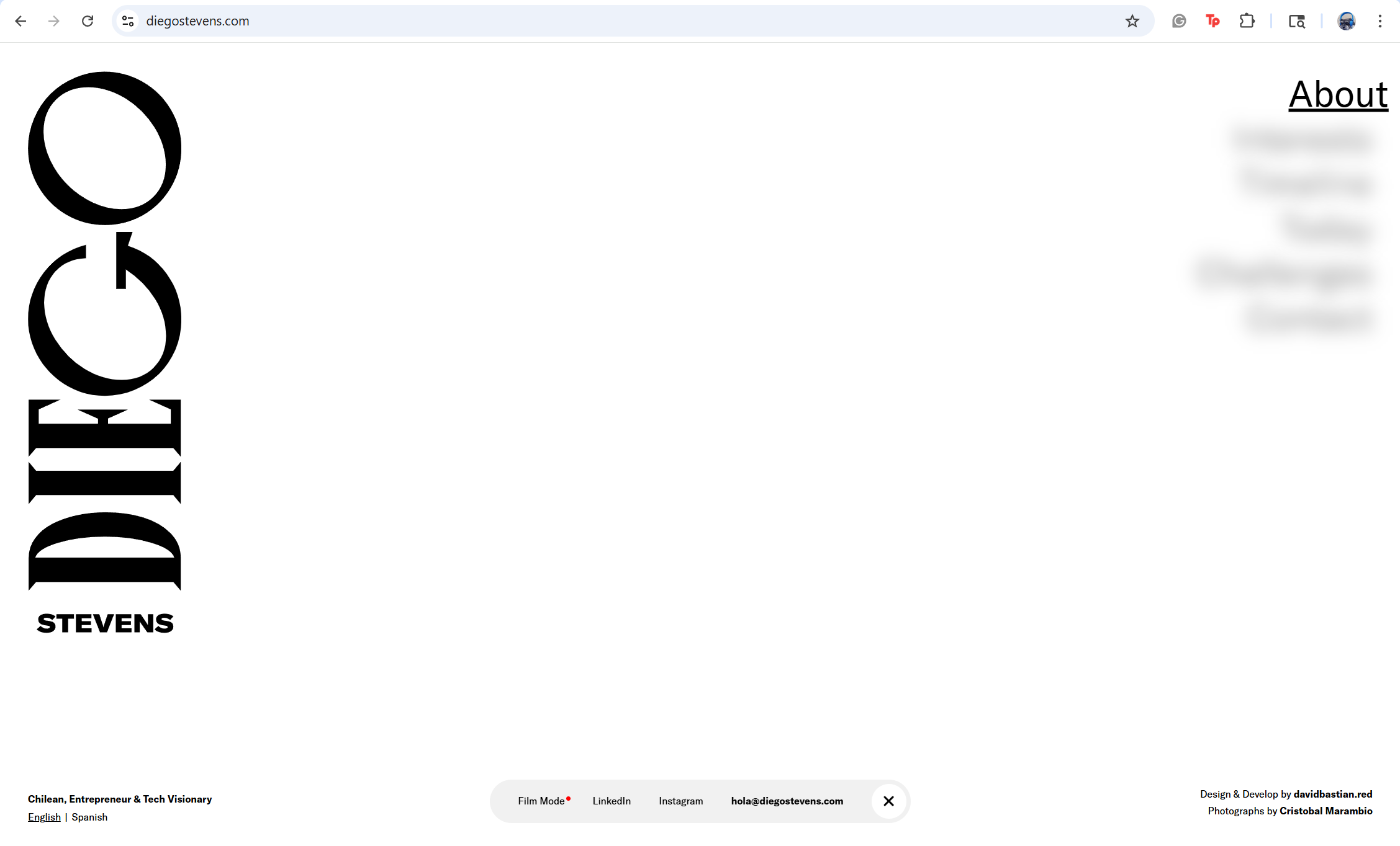 Picture of the same vertical navigation but when you hover, the other options blur. The one you are hovering over is the only one in focus.